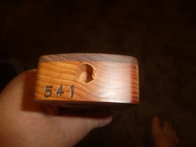 SAM_5068.jpg