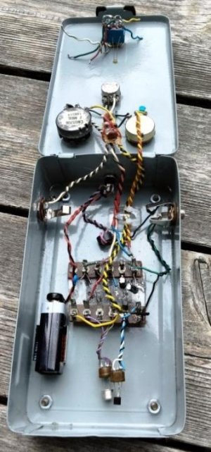 Angora_Fuzz2.jpg