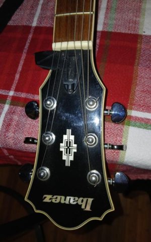 Ibby Truss rod cover.jpg