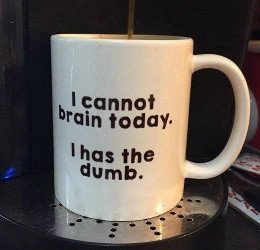 cannot-brain-today-has-dumb.jpg