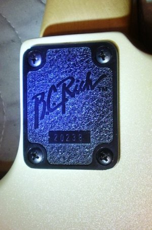 Warlock-NJ-neckplate.jpg