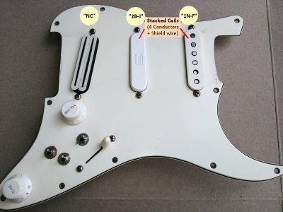 2025.10.15_FendAmStanPlus_PickGuard_01b.jpg