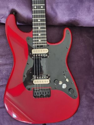 socal pickguard mockup.jpg