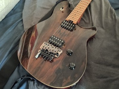 EVH.jpg