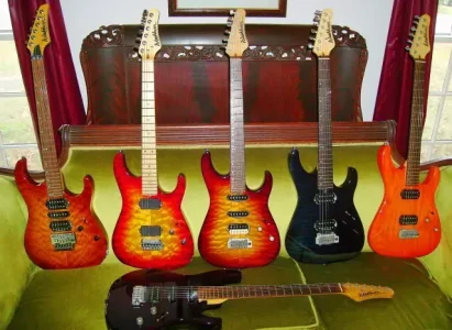 Washburn MG collection 1.webp