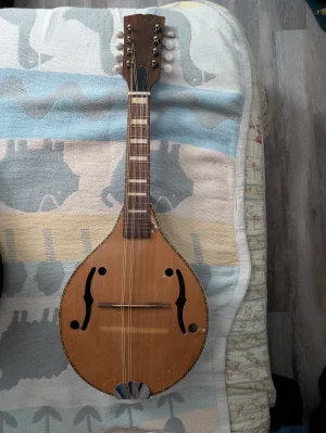 PXL_20251206_024307239.webp PXL_20251206_024307239.webp