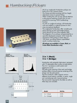 Schaller2in1page.webp Schaller2in1page.webp