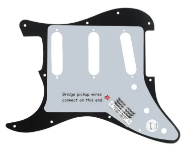 LaryGarson_pickguard.webp