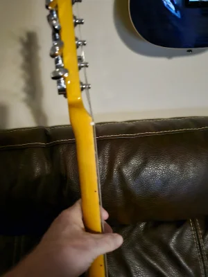 1000011860.webp 1000011860.webp