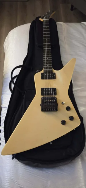 EXP before cleaning.webp