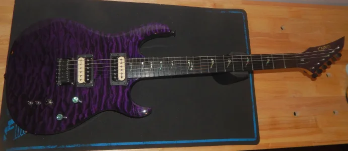 Purple DC 127 on the bench 1.webp