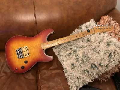 image.webp image.webp