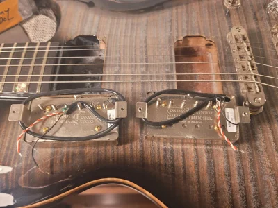 Duncans covered b.webp