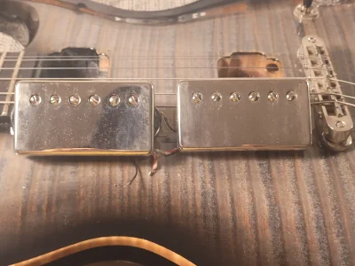 Duncans covered.webp