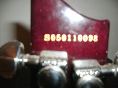 Schecter 2 001.jpg