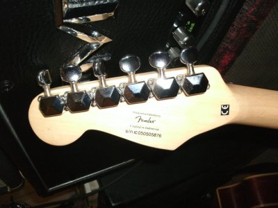 Schecter 2 002.jpg