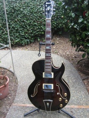 geetars 013.jpg
