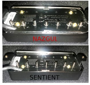 sentnazg.jpg sentnazg.jpg