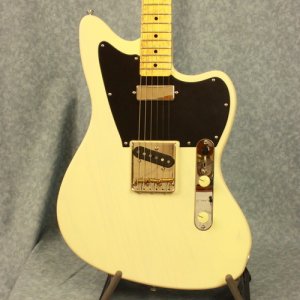 telemaster1.JPG