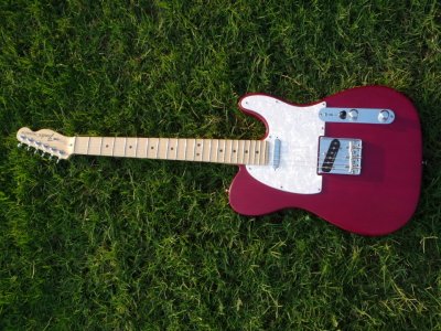 Pedals, Guitars, and Fiona 003.jpg