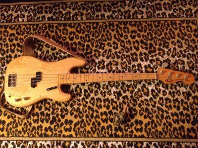 72 pbass.jpg