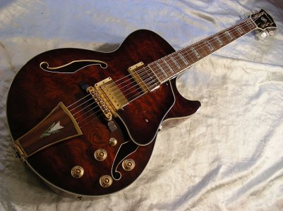 big%20ibanez%20artcoreDSCN8749.jpg