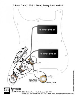 PhatCatStrat.jpg PhatCatStrat.jpg