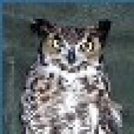 The Owl