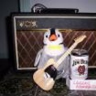 Laughing Kookaburra
