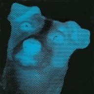 dogman