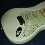 Guitar Toad