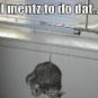 TIGEREYELASER