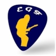 ElectricGuitarForum