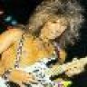 shred-dog