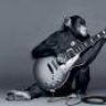 GuitarGuy503