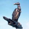 Bronze Buzzard