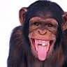 munkee