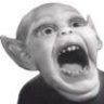 smorgdonkey