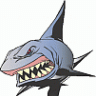shark