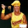 Hulkamania