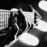guitarSQUIRELL