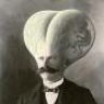 Kleegort
