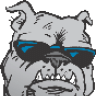 bulldog