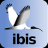 ibis