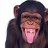 munkee