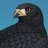 BlackhawkRise