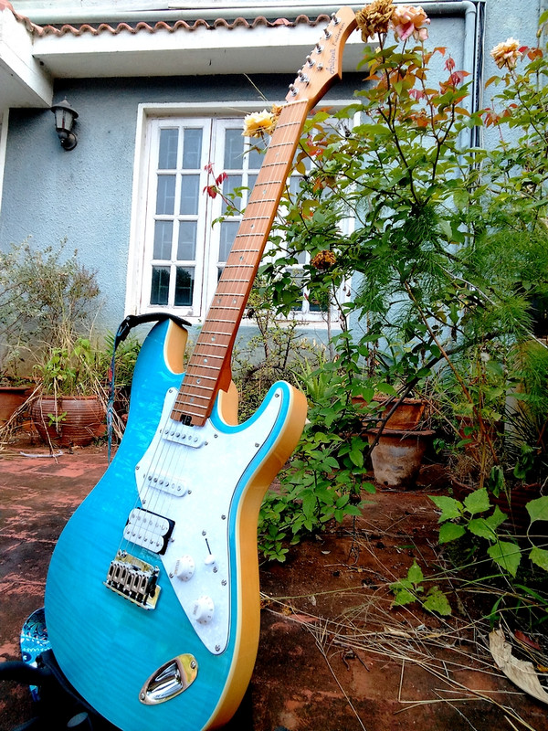 Aria-3a.jpg