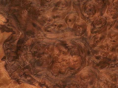 walnut_cluster_burl.jpg