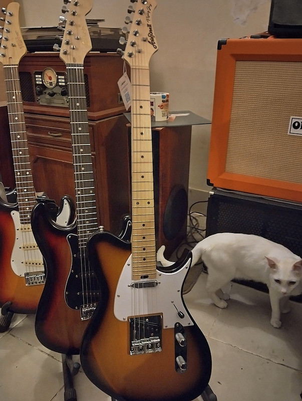 Tele-Edit-1.jpg