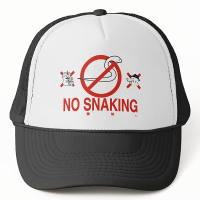 no_snaking_hat-p148998212301837318z8nb8_400.jpg